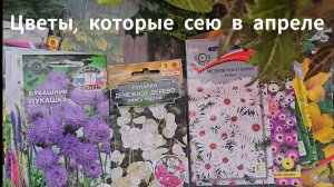 Какие цветы можно посеять в конце апреля - начале мая