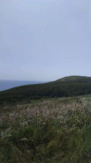 185. русскийостров