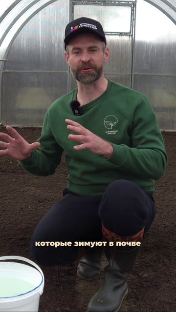 🌱 КАК ПОДГОТОВИТЬ ПОЧВУ В ТЕПЛИЦЕ ВЕСНОЙ #SemenaPartnerShorts