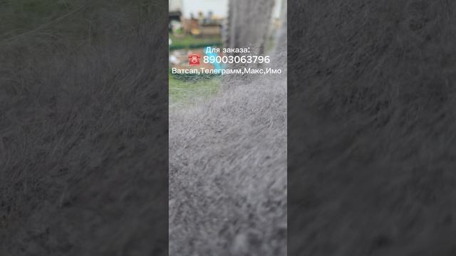 пуховый платок пуховая шаль пуховая косынка козий пух пряжа пуховая пуховые изделия