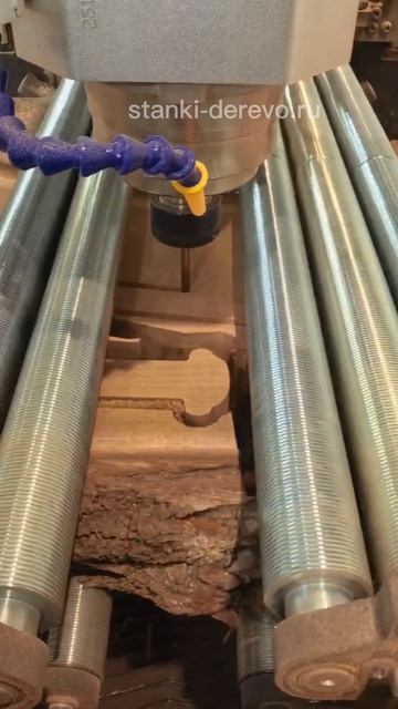 HAMANN SMART AI 2506 - самый умный сканер дефектов и пороков древесины: дуб, бук, ясень, карагач