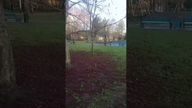 парк.утро.мой город