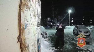 Полиция Подмосковья пресекла хищение аферистами у пенсионерки 1 млн рублей и задержала их курьеров