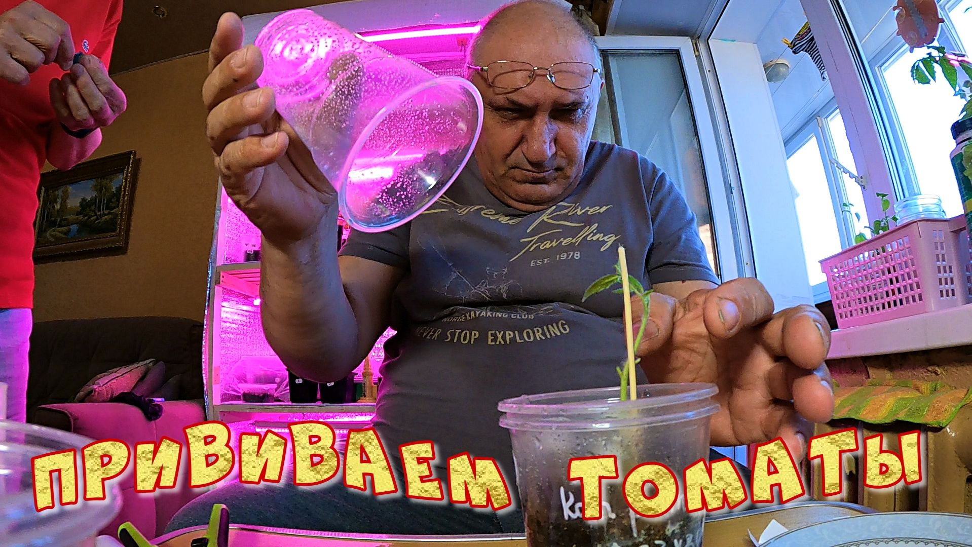 ПРИВИВАЕМ ТОМАТЫ