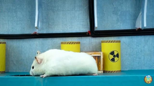 Приключение хомячка в красочном лабиринте - миссия: убежать от плохих игрушек! часть 12