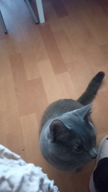 VID_20260416_164236 16.04.2026