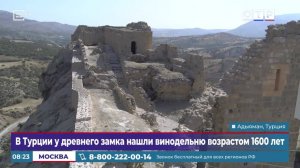 В Турции у древнего замка нашли винодельню возрастом 1600 лет