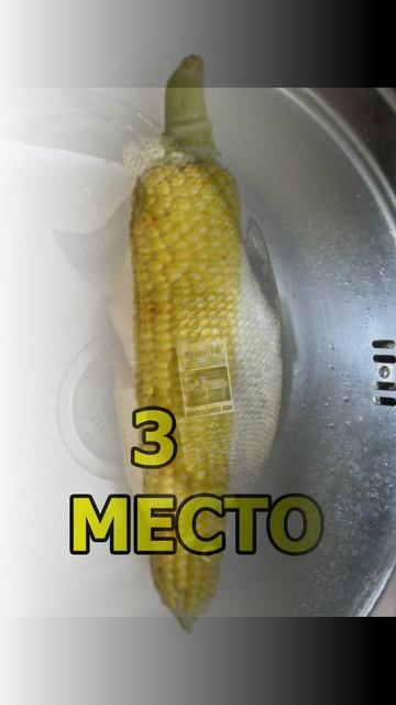 Топ 4 насадок для ловли леща в мае