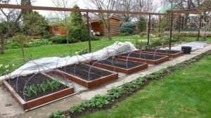 МОЙ МЕТОД ПОСЕВА СЕМЯН на ДАЧЕ / Мастер класс