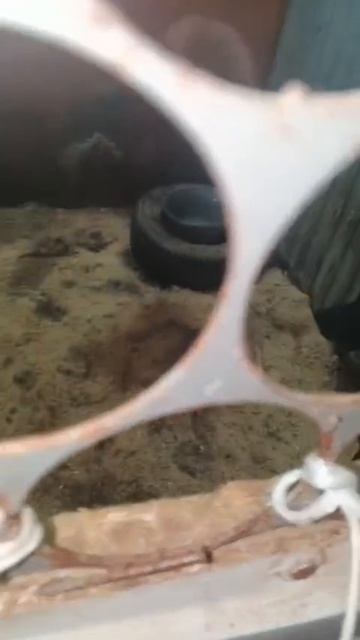 Уфа, Башкирия
Попали в отлов вот  такие собаки!😰Добрые и ласковые 
Пожалуйста, сделайте репост🙏