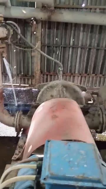 СНТ Нефтехимик  массив Березовая Грива ревизия насосного оборудования