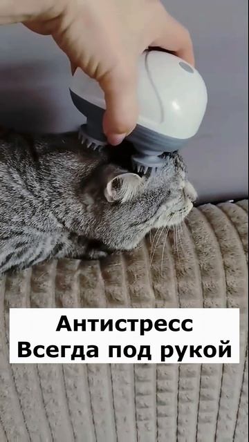 Артикул Я.Маркет  YM10333254 не забудь при поиске YM