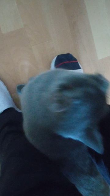 VID_20260416_164323 (1) 16.04.2026