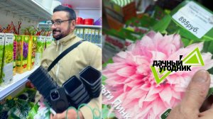 Что купил в садовом на 2000р?