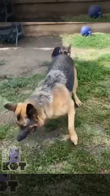 Остынь оно того не стоит