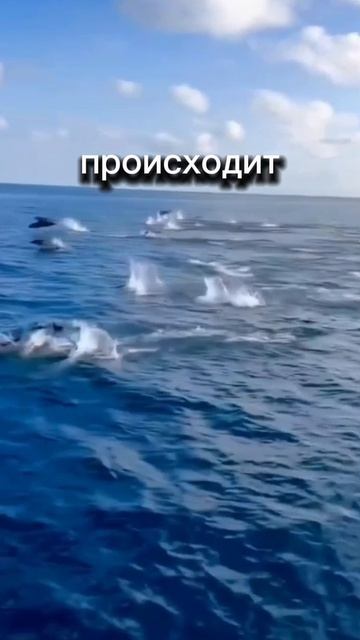 Не все люди приходят случайно.