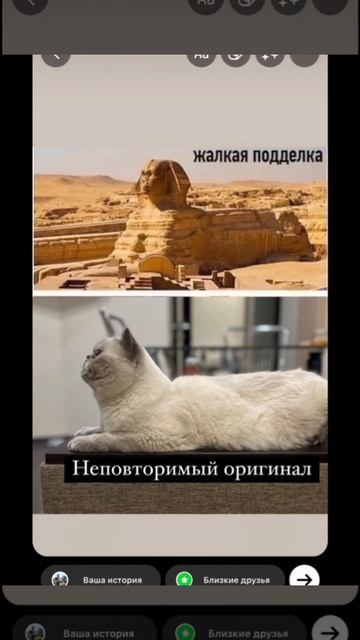 Теперь ты там где нет боли только небо и мягкие облачка