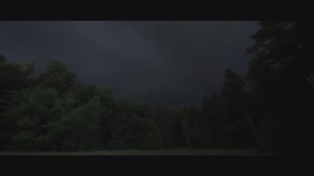 Тайны ночной грозы: звуки леса для сладкого сна