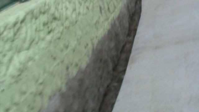 82)ГЕЛЕНЖИК САФАРИ ПАРК(2015 ГОД)