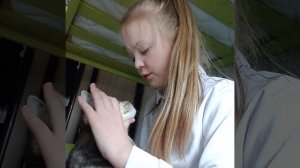 опять котик