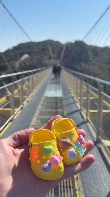 _kota_na_suvenir_kotoryi_hozyaika_vezla_dlya_nego_cherez_ves_mir