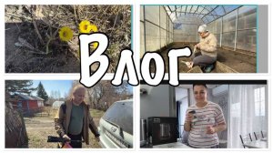 Я в него ВЛЮБИЛАСЬ__добрались ДО САДА