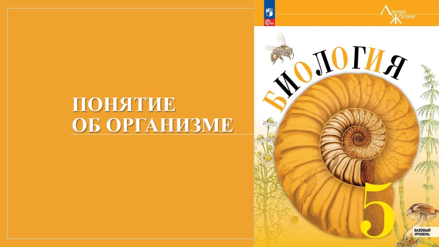 Урок 9. Понятие об организме