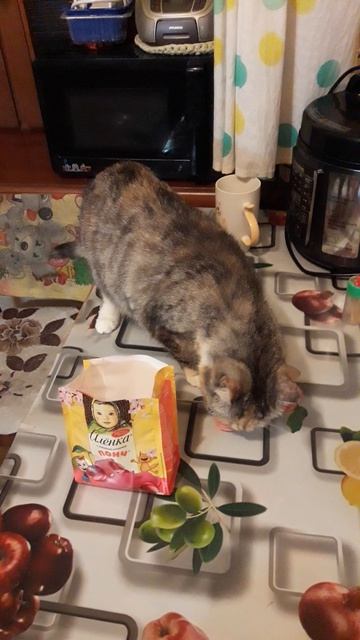 Как достать печенье? щас покажу😁😁😁😁