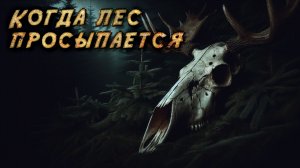 КОГДА ЛЕС ПРОСЫПАЕТСЯ | Страшный рассказ