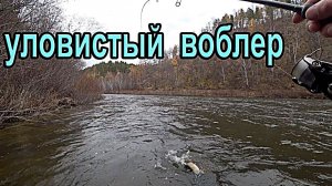 Уловистый воблер на ленка.