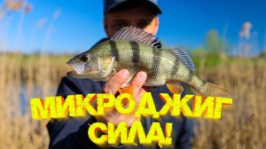 Окунь отнерестился НО еще жрёт 👍 МИКРОДЖИГ СИЛА  💪💪💪