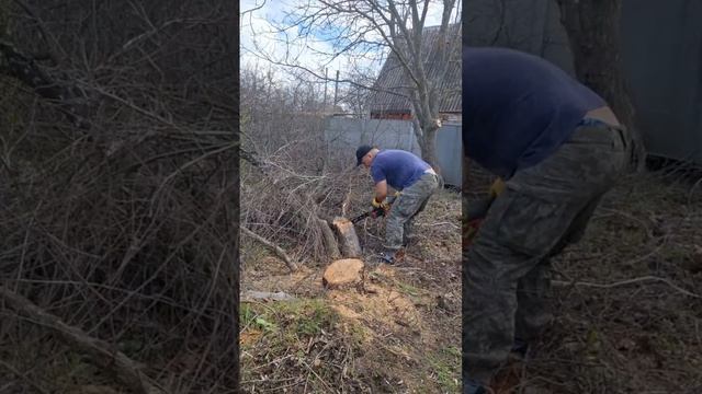 трудовые будни дачника