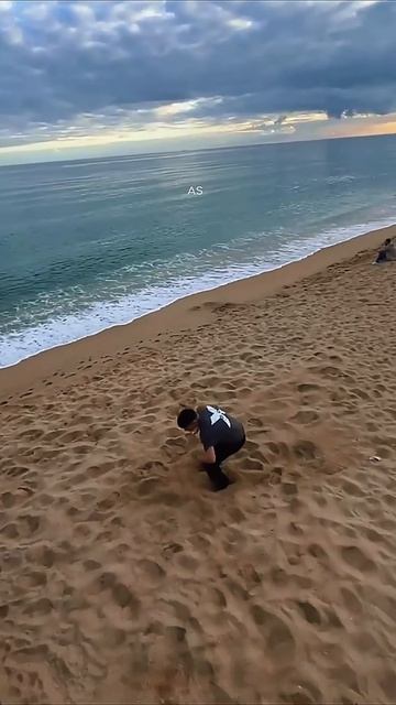 Импульс Движения