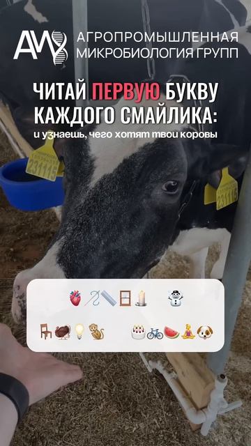 Что получилось? кормозаготовка агротехнологии животноводство крс сельскоехозяйство апк кфх