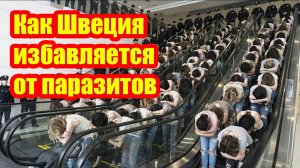 Механизмы Швеции по управлению растущим населением