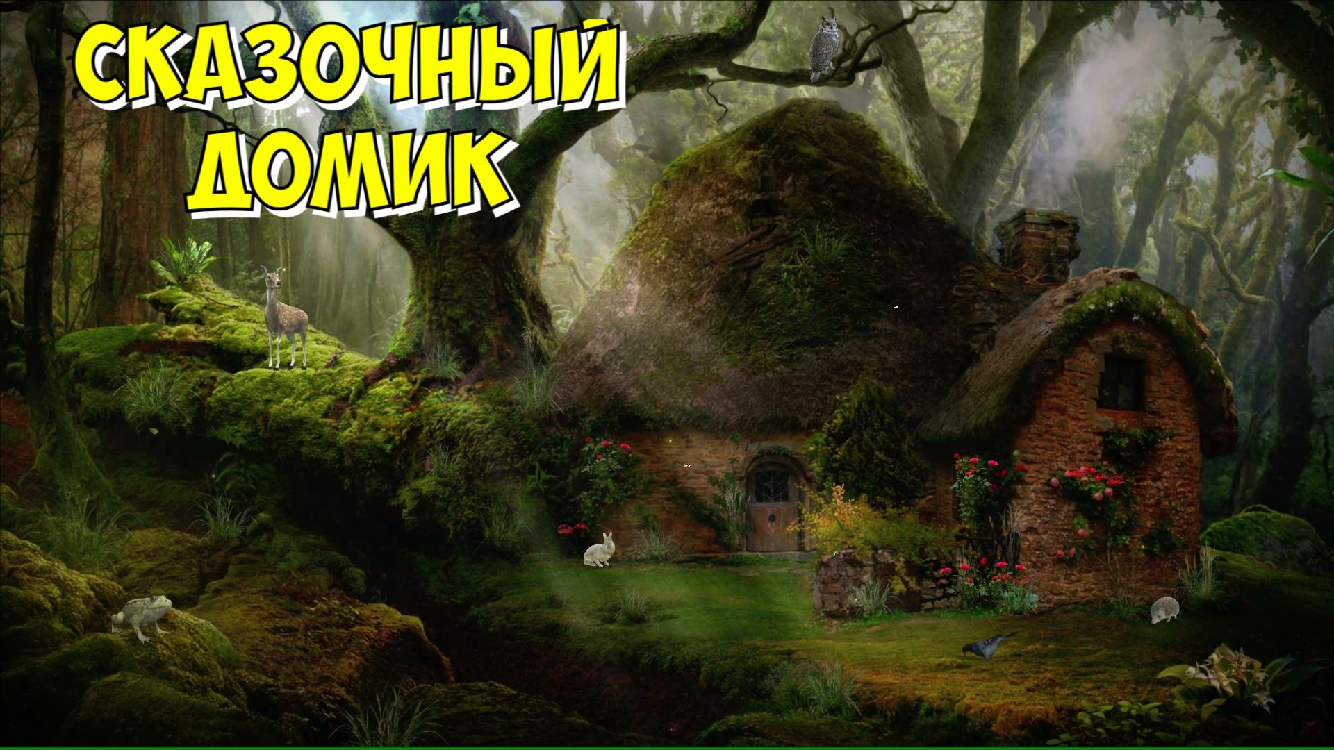 Звуки леса, птиц, приятная музыка для отдыха и медитации, Relax Music