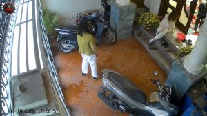 Моменты, когда все пошло не по плану | Лучшее за месяц (P44)