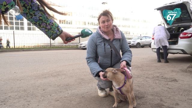 В Смоленской области проходит ежегодная вакцинация питомцев: как защитить любимцев от бешенства