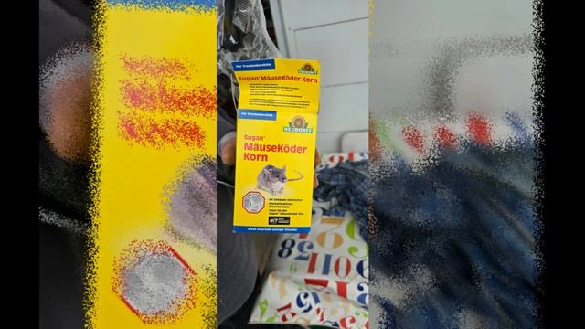 Мышь без приглашения проникла в автодом! Объявляю войну мышам! Как выгнать грызунов из автодома