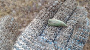 Маленькая прогулка с МД в Чувашии.