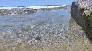 Шум моря. Природа.