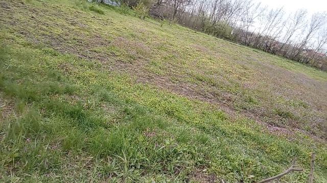 После 2 дневного перерыва, прогулочка по окрестностям! Юг России 🌴