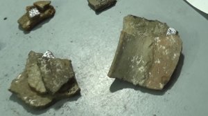 Сенсация! Жилище эпохи поздней бронзы из раскопа по улице Украинская, 101