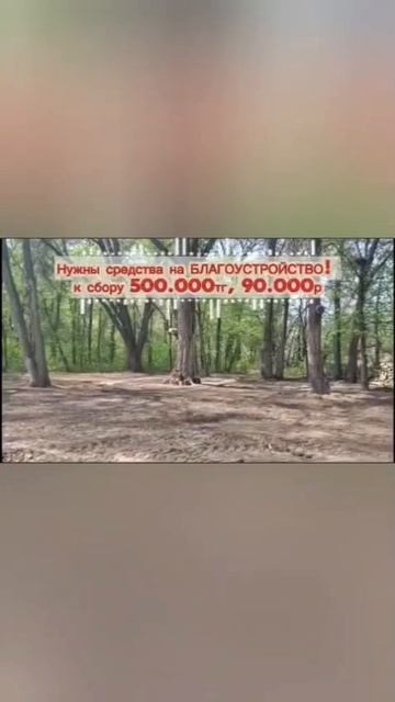 Помогите УСПЕТЬ СПАСТИ приют! 🐶🏡 Приют 