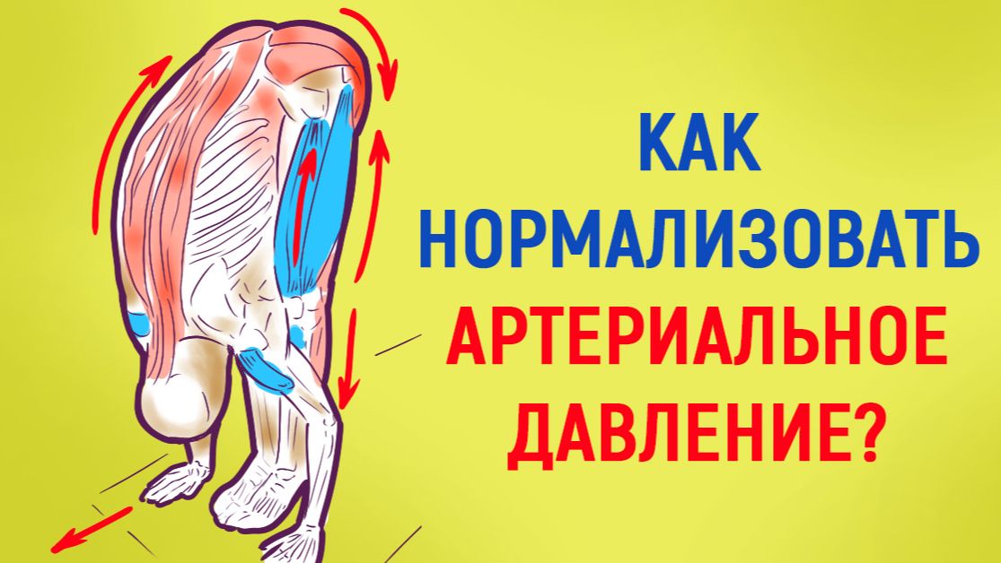 Комплекс упражнений при повышении артериального давления