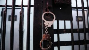 Заместитель гендиректора МХАТ им. Горького арестован по делу о растрате