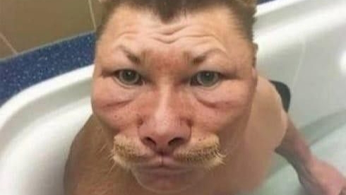 Котан все норм?