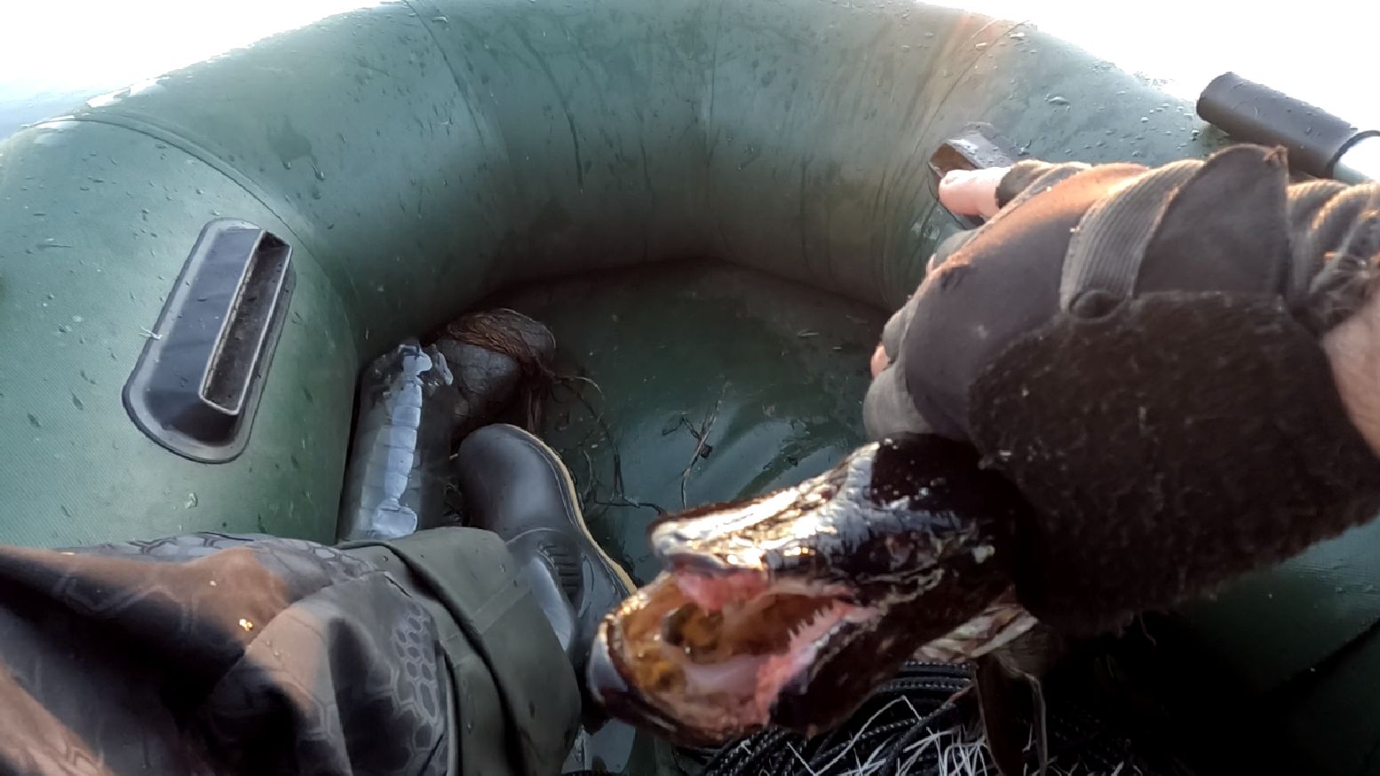 Рыбак был удивлён когда поймал в сети эту рыбу..