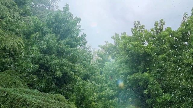 Слова этой песни трогают сердце!