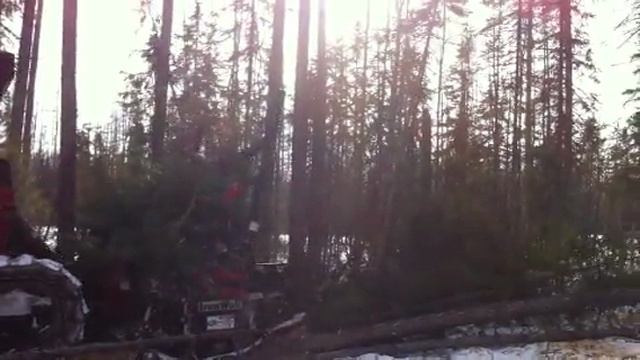 Слэшер-мульчер Iron Wolf700.mp4